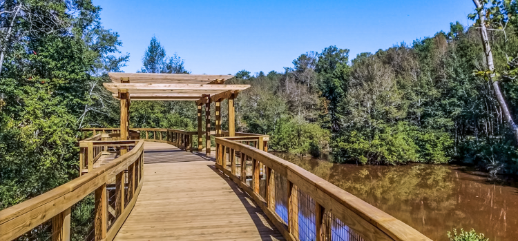 The Walk at Sandy Run