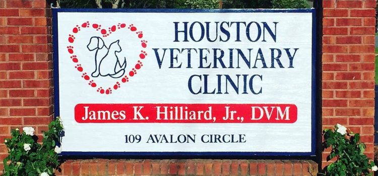 Houston Veterinary Clinic